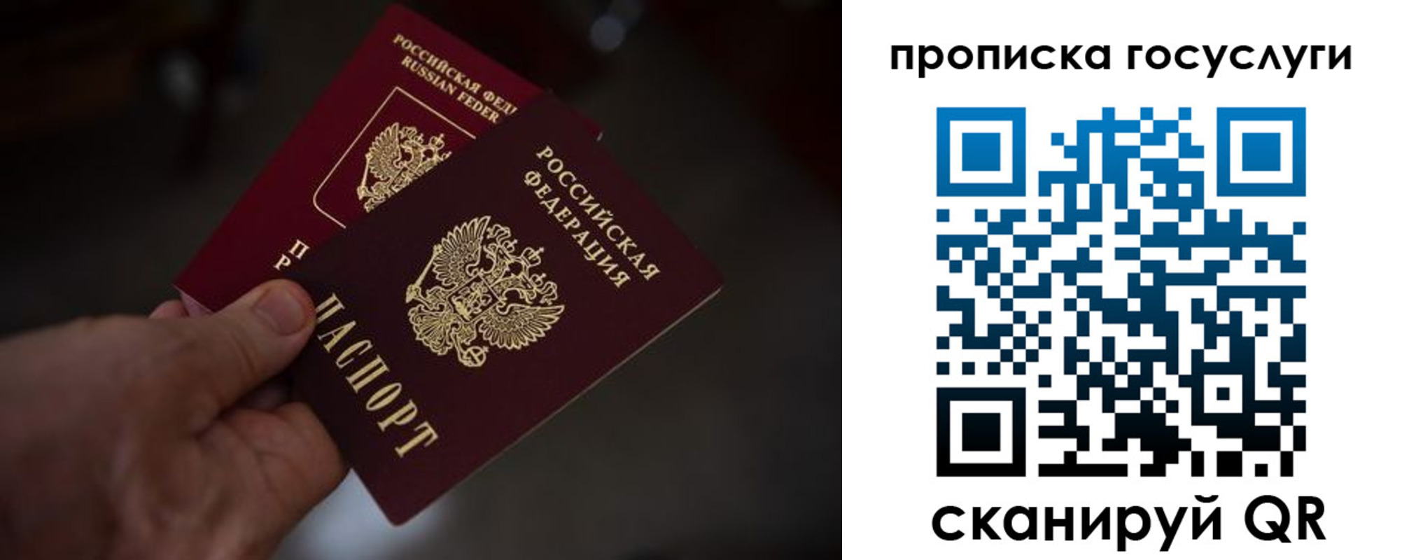 прописка ребенка в Дмитрове